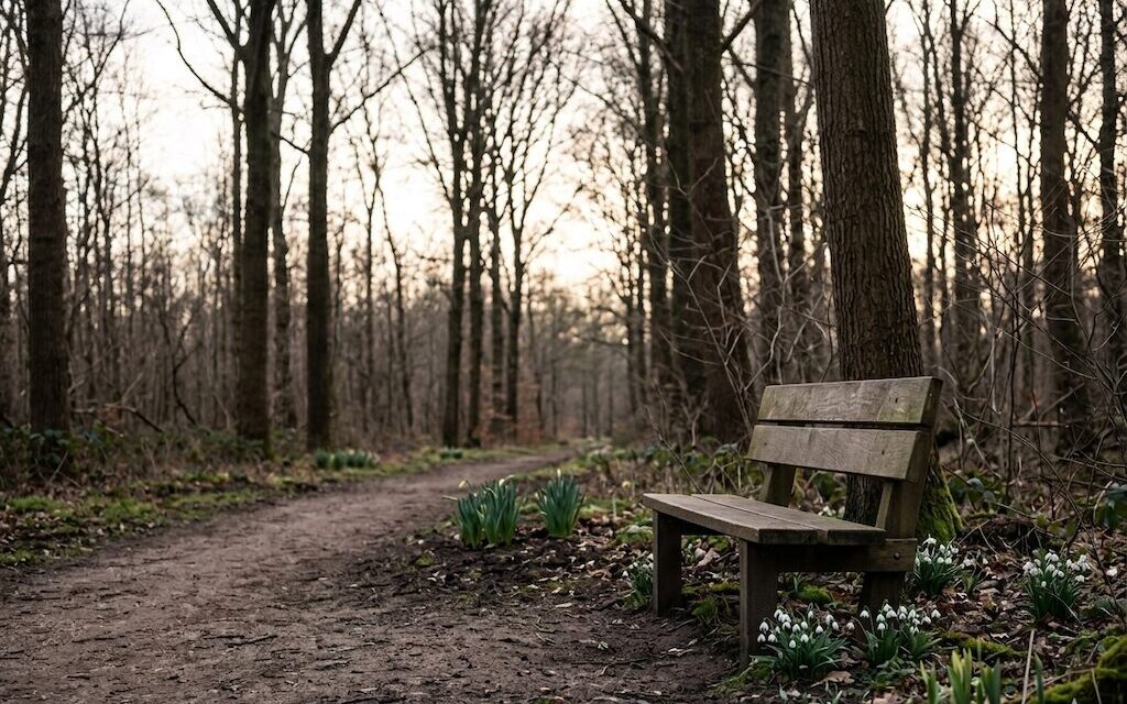De wijsheid van narcissen: Wat mijn vader mij leerde over de lente en het leven