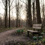 De wijsheid van narcissen: Wat mijn vader mij leerde over de lente en het leven